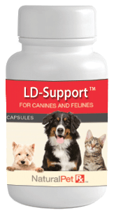 LD-Support - 50 grams powder